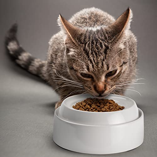 Cat Bowls Original Whisker (Dish / Ceramic, White)