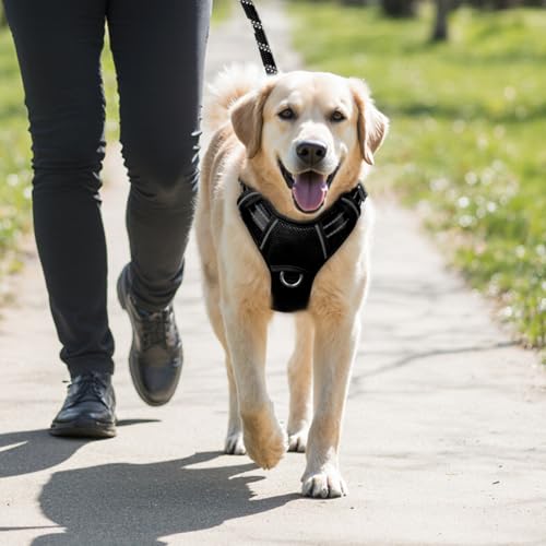 Dog Harness for Medium Sized Dog No Pull Dog Vest ID Tag Pocket (Black / Medium)