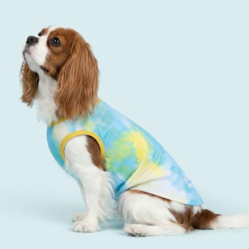 2Pack Dog Shirt for Medium Dog Soft Breathable T (X-Large (18-30lbs) / Purple+Blue)