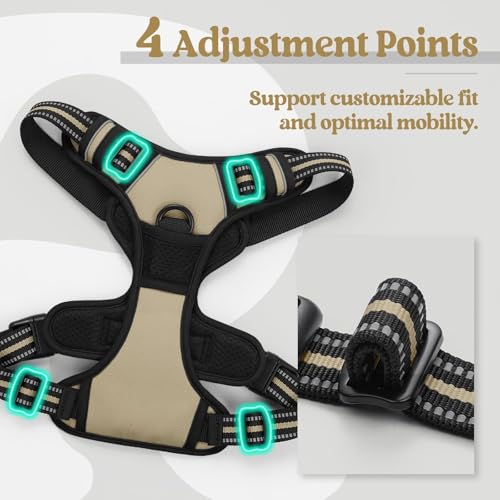 Dog Harness No Pull for Large Dogs with 2 Leash Clips (Large / Beige)