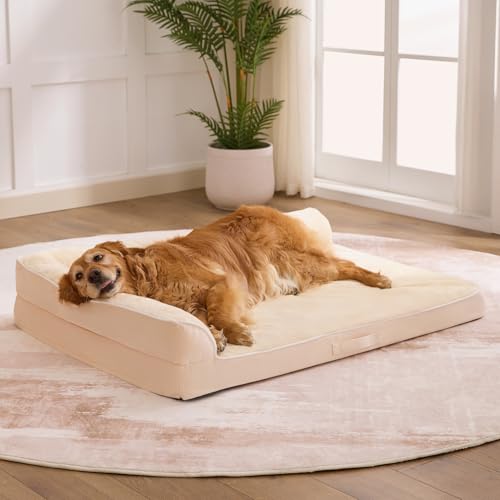 Orthopedic Dog Bed for Medium Size Dog (36.0"L x 27.0"W x 6.5"Th / Beige)