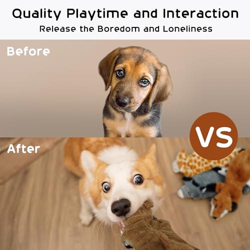 Dog Squeaky Toys (5 Pcs No Stuffing Basic)