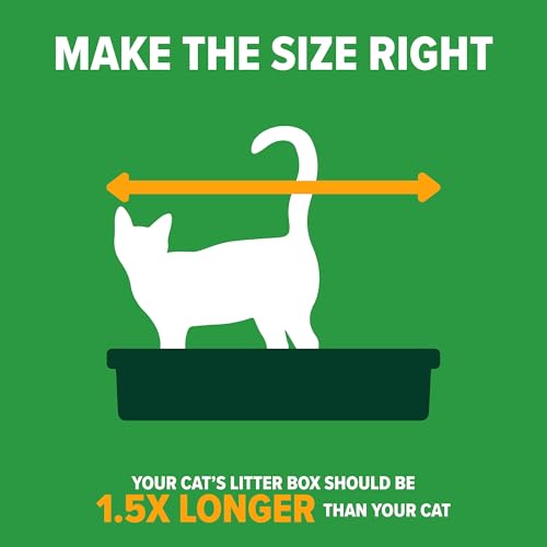 Simply Recycled Plastic Cat Litter Pan (Large / Recycled)