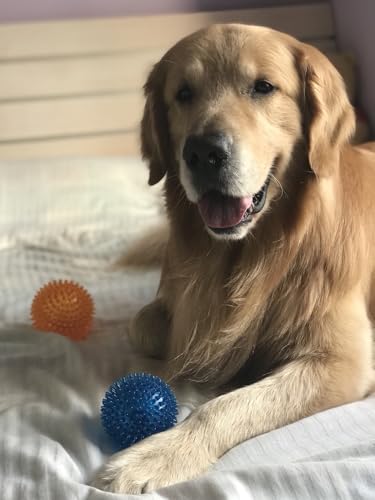 3 Pack Dog Squeaky Toys for Medium (large set)