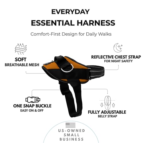 Essential Dog Harness (Sunset Orange / XL)