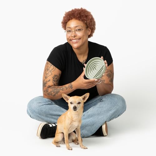 Slow Feeder Dog Bowl (Sage - Rainbow Design / Small (6” Across x 1.25” Tall))