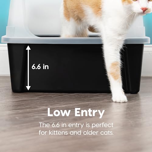 XX Large High Sided Cat Litter Box (XXL / Black)