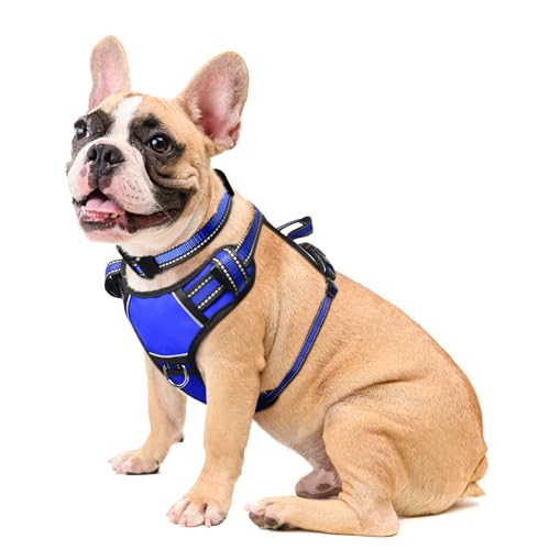 Dog Harness No Pull (Medium / Blue)