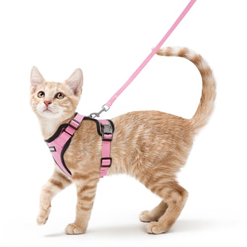 Cat Harness and Leash Set (S / Pink)