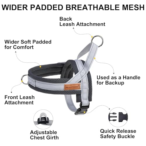 Small Dog Harness and Leash Set (Grey / S: Chest 17.5"-22")