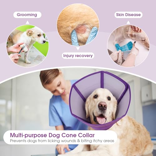 Dog Recovery Cone Waterproof Plastic Elizabethan Cone Purple XL (Purple / X-Large)
