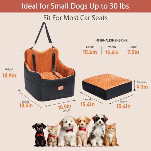 Dog Car Seat for Small Dogs Up to 30 lbs (Black/Orange / M)
