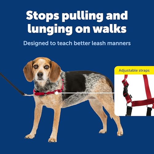 Easy Walk Harness (Small/Medium / Red/Black)