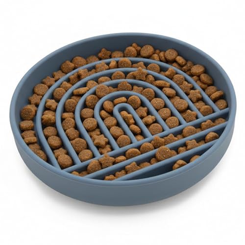 Slow Feeder Dog Bowl (Ocean - Rainbow Design / Small (6” Across x 1.25” Tall))