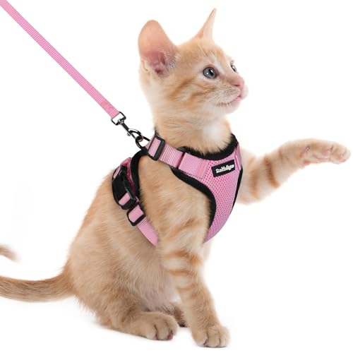 Cat Harness and Leash Set (Xxs / Pink)