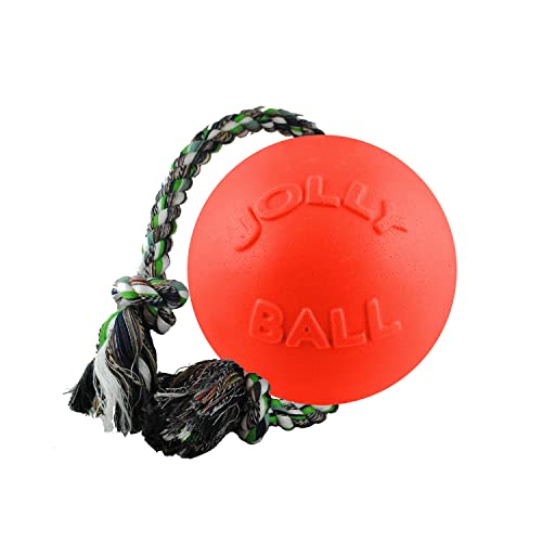 Romp-N-Roll Rope & Ball Dog Toy, 4.5 in Small, Orange (Orange / Small (4.5 in))