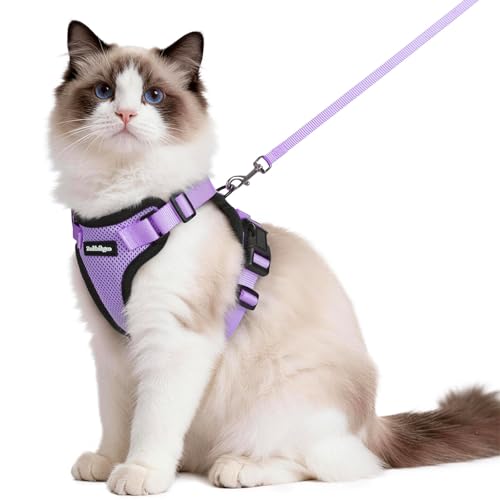 Cat Harness and Leash Set (M / Light Purple)
