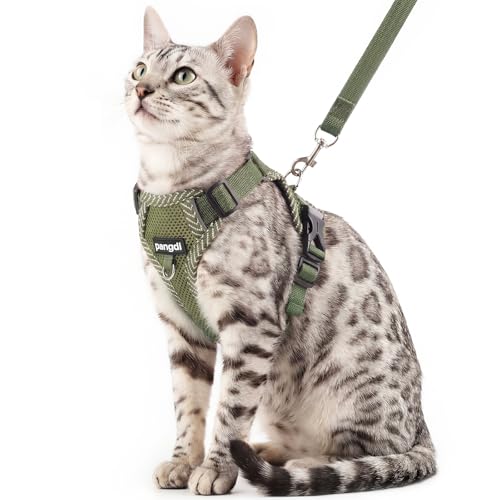Cat Harness and Leash Set (Dark Green / Small)