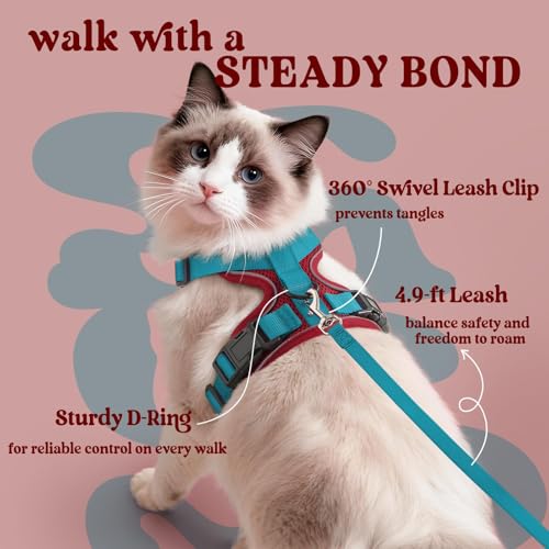 Cat Harness and Leash Set (Xxs / Red & Teal)