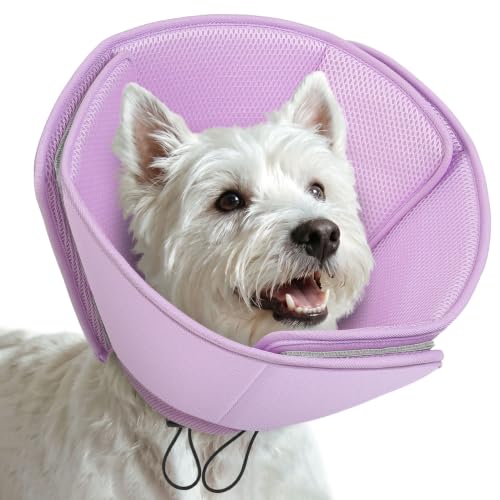Dog Cones for Medium Dogs (Purple / Medium)