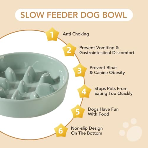 Ceramic Slow Feeder Dog Bowls (Light Green)