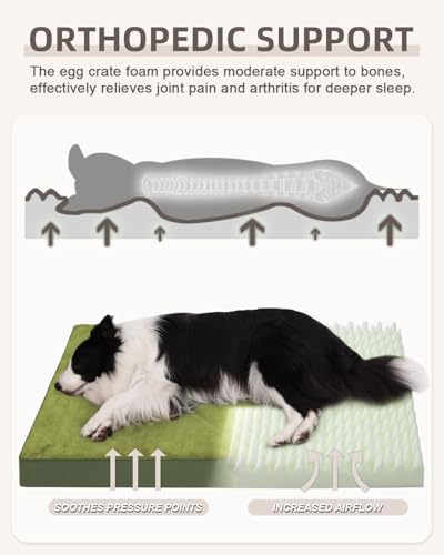 Orthopedic Dog Bed for Extra Large Dogs with Waterproof (Green / 47.0"L x 29.0"W x 4.0"Th)