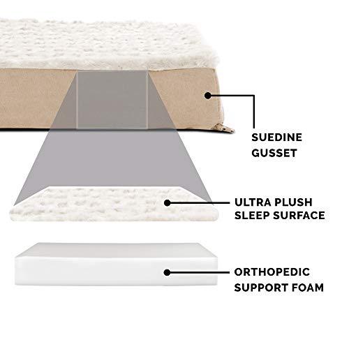 Orthopedic Dog Bed for Large Dogs w (Jumbo Plus / Minky Cream)