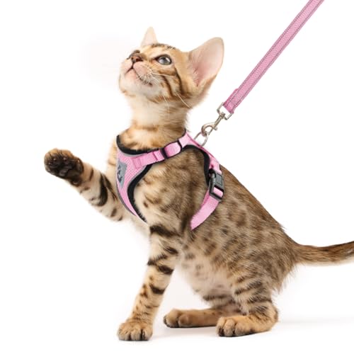 Cat Harness and Leash Set Escape Proof Reflective Cat Walking Harness Adjustable Soft Breathable Mesh Vest for Small Pets (XS (NECK 8.5", CHEST 11"-14") / Light Pink)