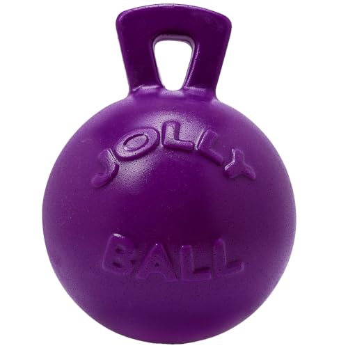 Tug-n-Toss Heavy Duty Dog Toy Ball with Handle, 8 Inches/Large, Purple (Purple / Large (8 in))