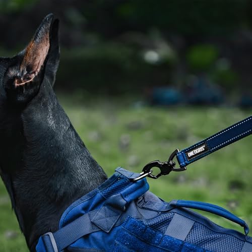 Short Traffic Dog Leash for Small Medium Large Dogs (M / Blue)