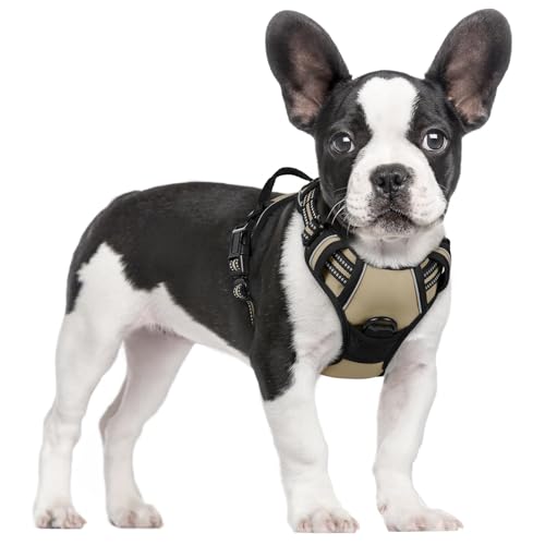 Dog Harness No Pull for Small Dogs with 2 Leash Clips (Small / Beige)