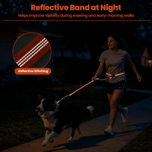 Hands Free Double Dog Leash (Orange)