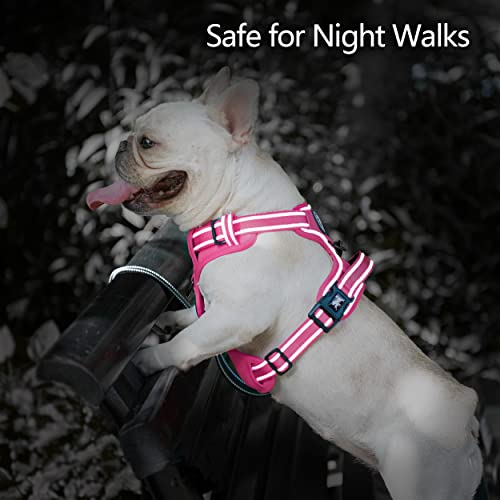 No Pull Dog Harness (Medium / Pink(Matching Trim))