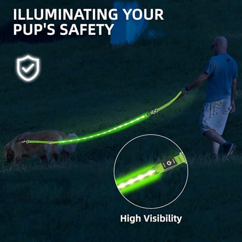 Light up Dog Leash for Night Walking (6 FT / Orange)