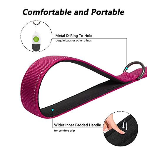 4FT Heavy Duty Dog Leash with Soft Padded Double Handle (4 FT x 1 in Wide / Rose)