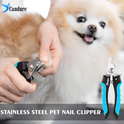 Pet Nail Clippers Professional Nail Trimmer Suitable for Puppy (Bright Blue / Medium to Small pets)