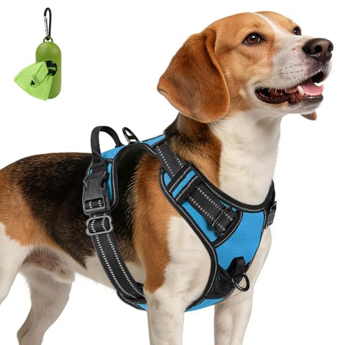 No Pull Dog Harness Medium Sized Dog (Medium / SkyBlue)