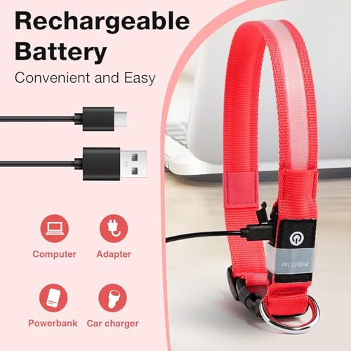 Light up Dog Collar (Red / L(19 inch-23.6 inch))