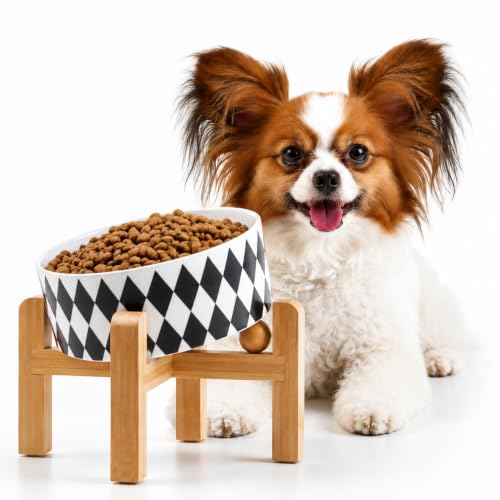 Raised Elevated 15°Slanted Ceramic Dog Bowl for Small Breeds (Black Rhombus / 1.7 CUPS - Puppy/Small Dogs & Cat Bowls)