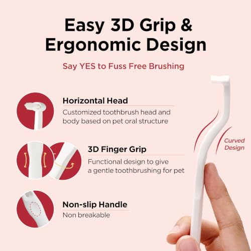 Dental Care Brush with Firm Bristles (Firm Bristles / 1 Count (Pack of 1))