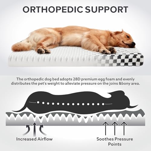 Dog Bed for Large Dogs (L (36x27) / Grey)
