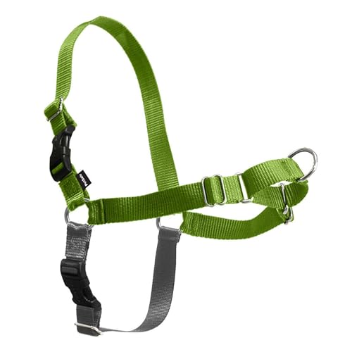 Easy Walk Harness for Dogs (Small / green)