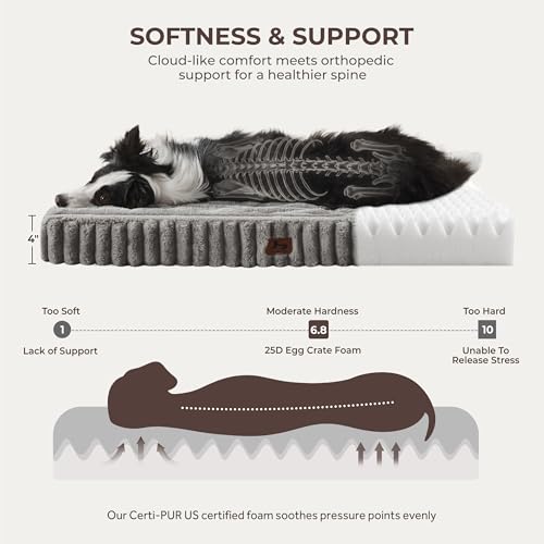 Orthopedic Large Dog Bed (Grey / XL(41x27x4"))