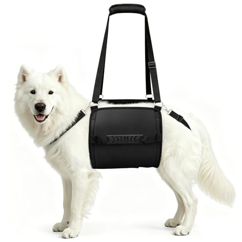 Rehab Dog Lift Harness (Black / Medium)