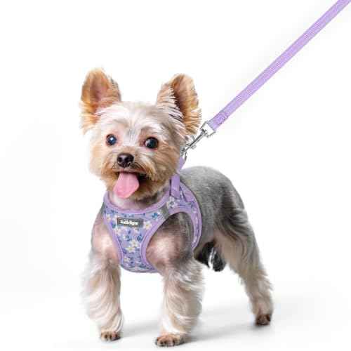 Dog Harness Small Sized and Leash Set (Lavender Floral / Xs (chest: 13.3 - 15.5"))