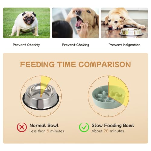 Elevated Slow Feeder Dog Bowls (Light Green)