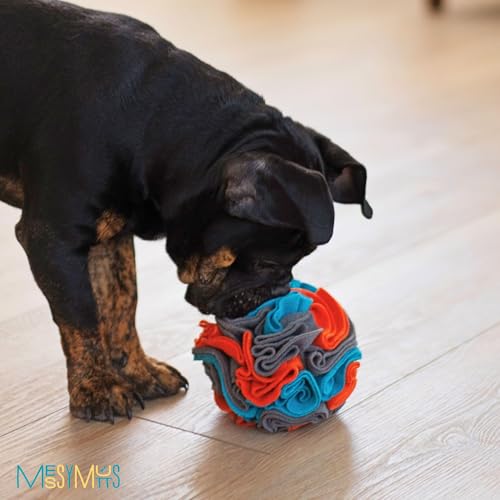 Round Snuffle Ball for Dogs
