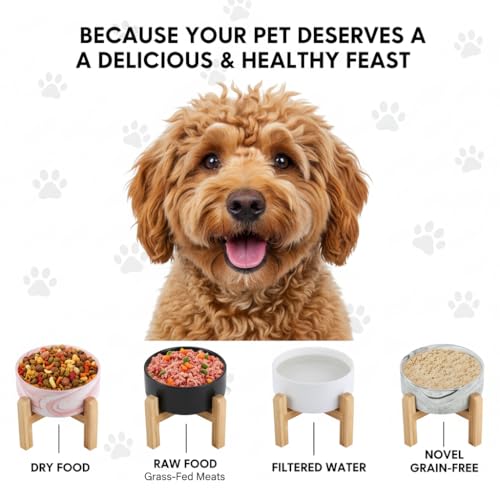 Elevated Raised Ceramic Dog Bowl with Bamboo Stand (White / Medium)
