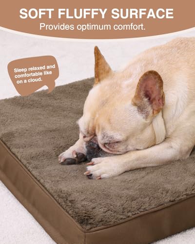 Orthopedic Dog Bed for Small Dogs with Waterproof Lining (Brown / 23.0"L x 17.0"W x 3.0"Th)