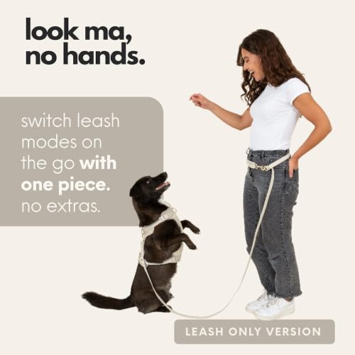 Hands Free Dog Leash